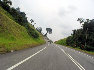 Nice scenery road Nice scenery road