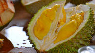 King of Fruits Day Ride (23 July) It’s the time of the year! And by that, I don’t mean Chinese New Year, Christmas, but the durian season. And what more to enjoy this season but to have...