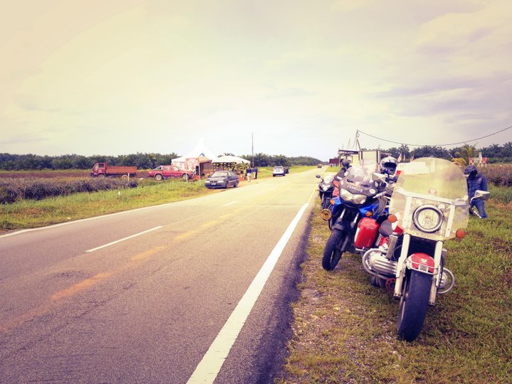 By the road