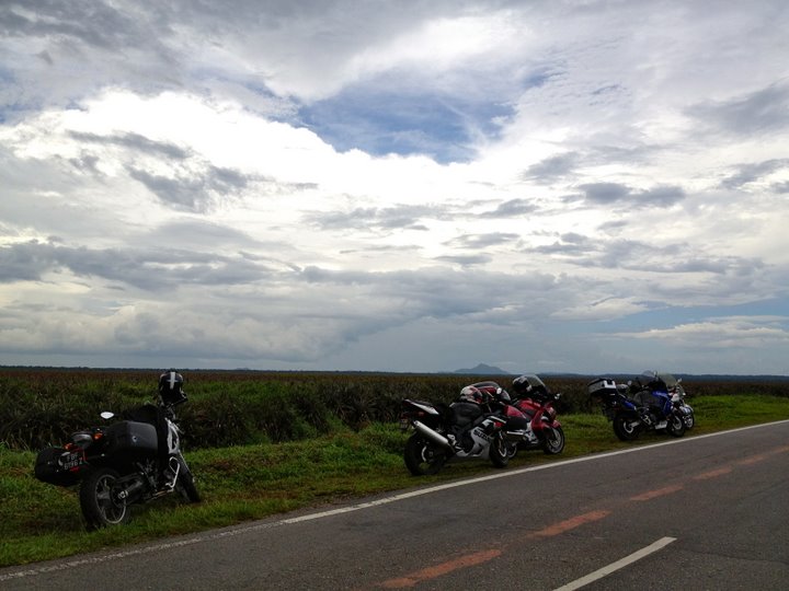 Bikes by the road
