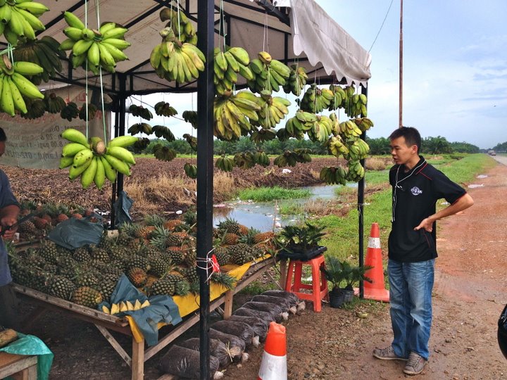 Pineapple stall